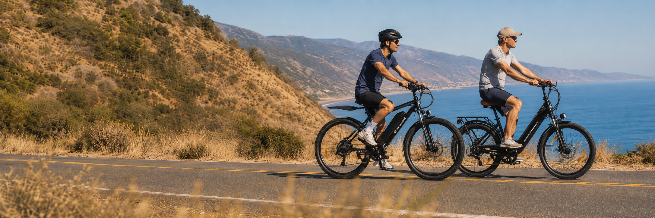 Electric Bikes