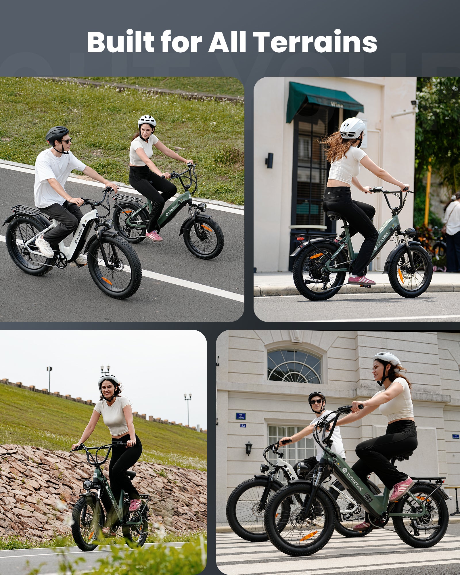 isinwheel U8 Series Electric Bike for Adults