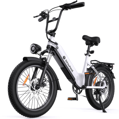 isinwheel U8 Series Electric Bike for Adults