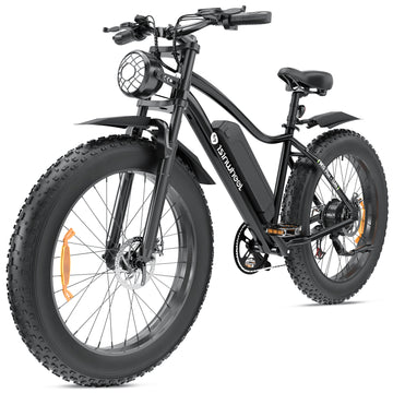 isinwheel M10Plus Electric Bike