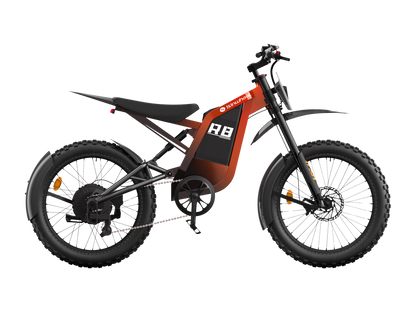 Moto tout-terrain électrique isinwheel R8 3000W
