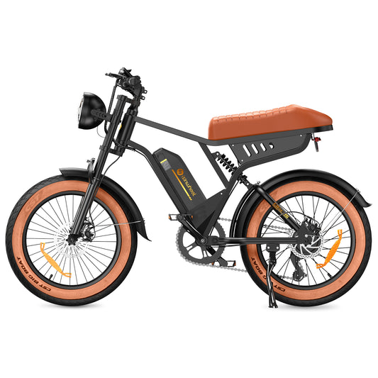 isinwheel R6 Retro Electric Bike
