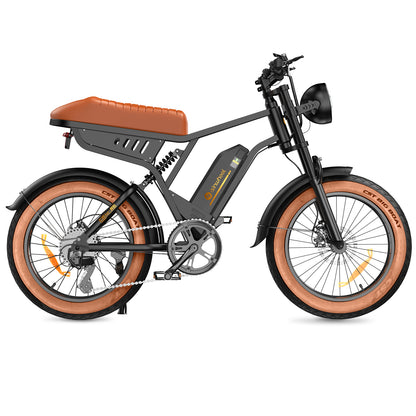 isinwheel R6 Retro Electric Bike