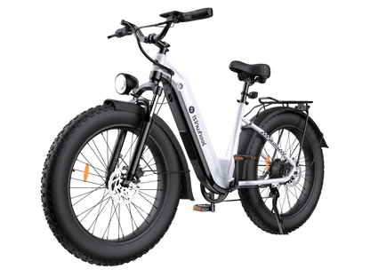 isinwheel U8 Ultra Electric Bike for Adults