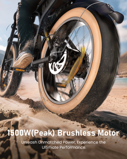 isinwheel R6 Retro Electric Bike  With Battery