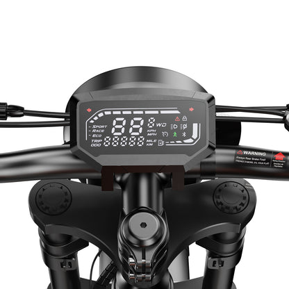 isinwheel R6 Retro Electric Bike