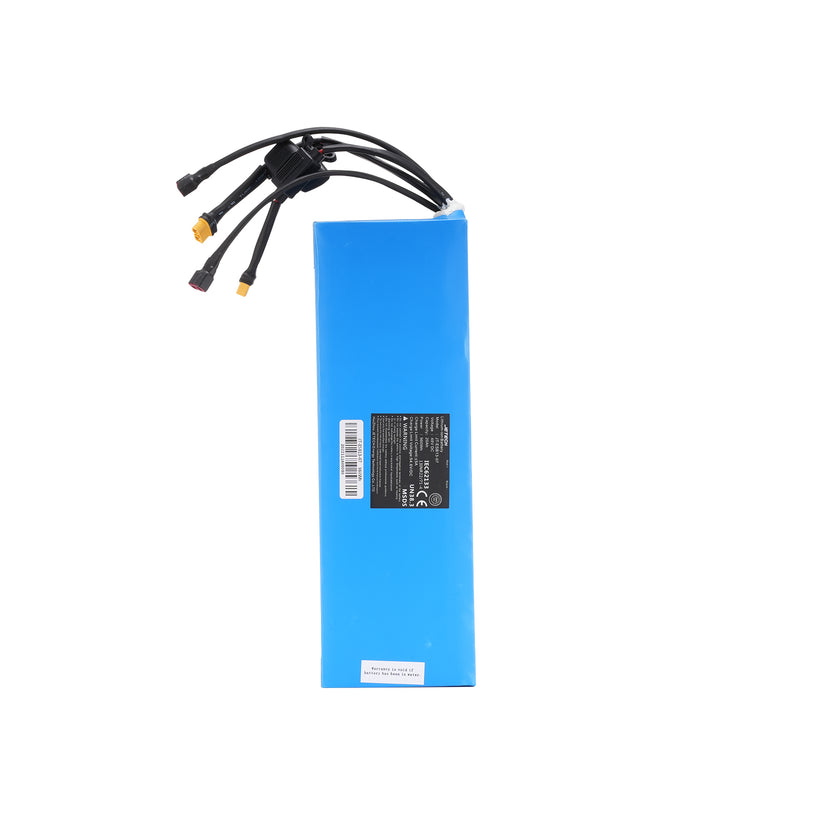 Batterie Isinwheel pour trottinette électrique tout-terrain M/R/R Pro