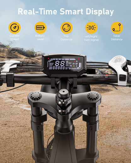 isinwheel R6 Retro Electric Bike  With Battery