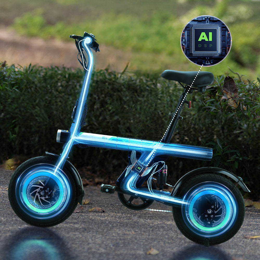isinwheel U1 Electric Bike
