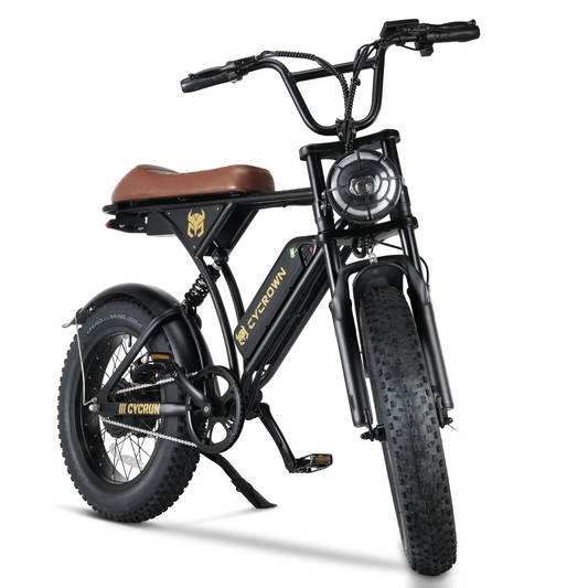 CycRun 750W Moped Style Electric Bike