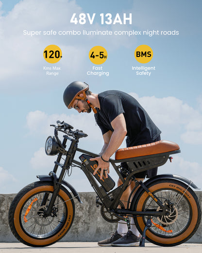 isinwheel R6 Retro Electric Bike  With Battery