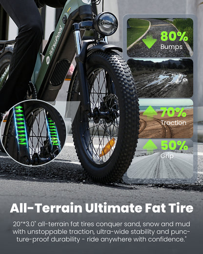 isinwheel U8 Series Electric Bike for Adults