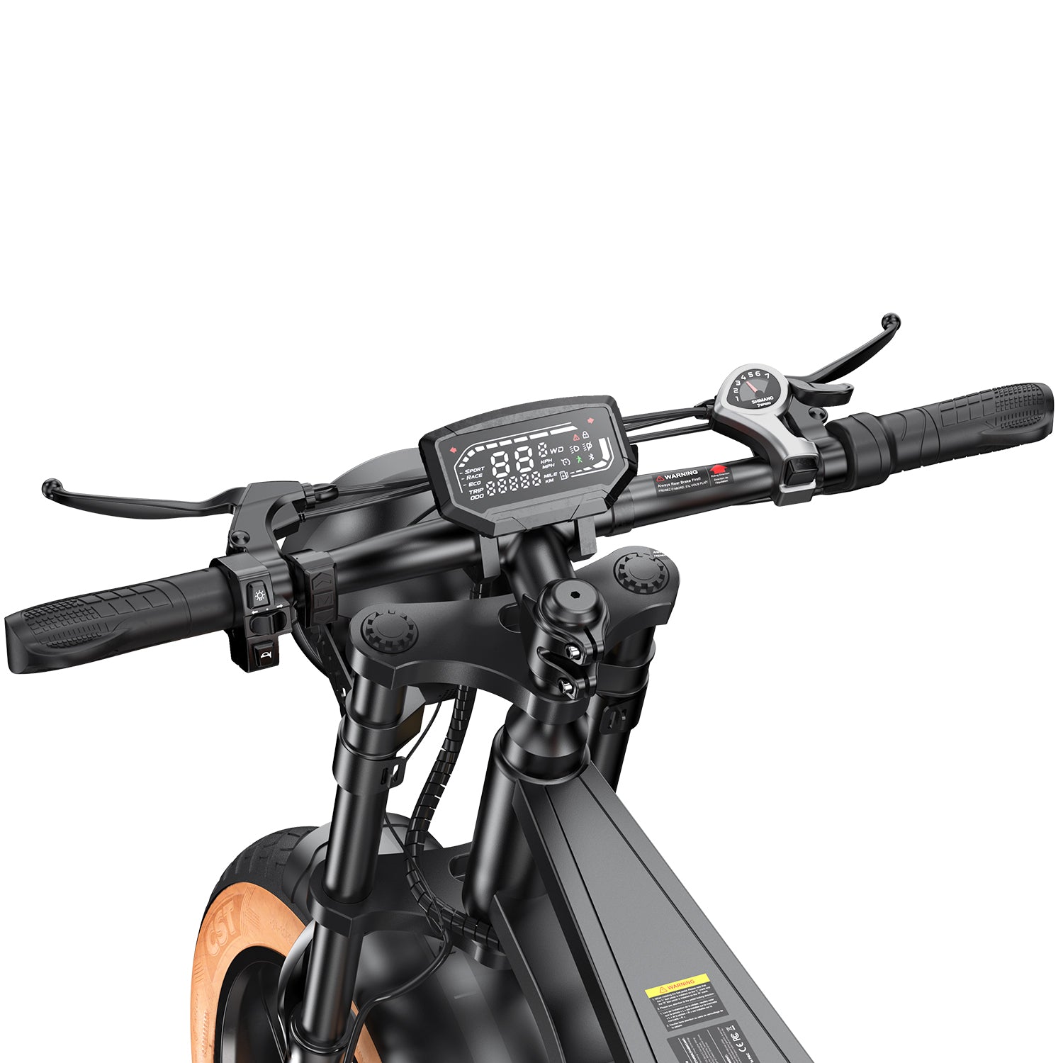 isinwheel R6 Retro Electric Bike