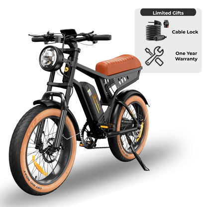 isinwheel R6 Retro Electric Bike