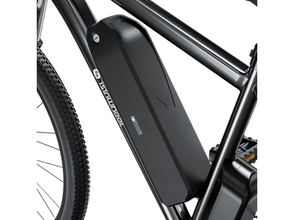 Vélo électrique de ville isinwheel M10