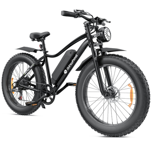 isinwheel M10Plus Electric Bike