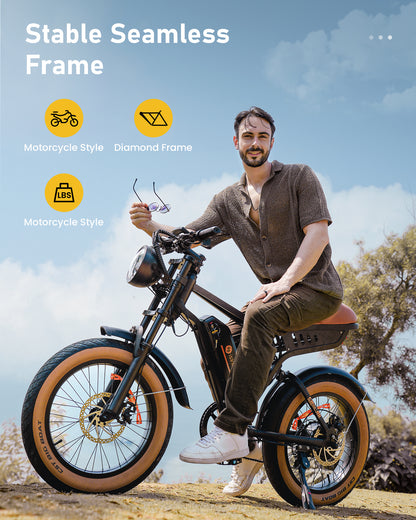 isinwheel R6 Retro Electric Bike  With Battery