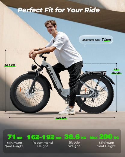 isinwheel U8 Ultra Electric Bike for Adults
