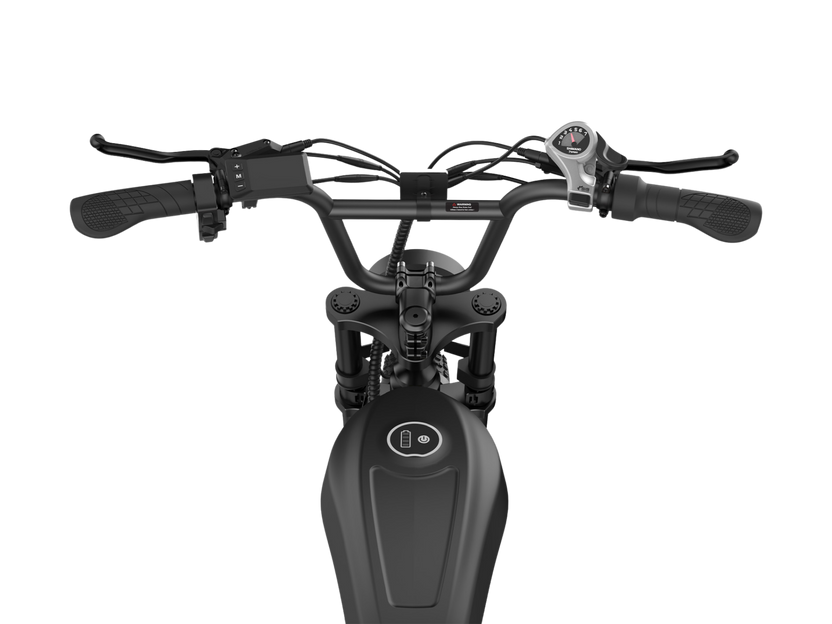 Vélo électrique rétro isinwheel R6