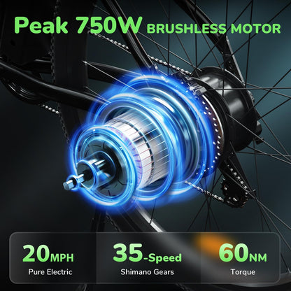 isinwheel M10s 750W Electric Commuter Bike