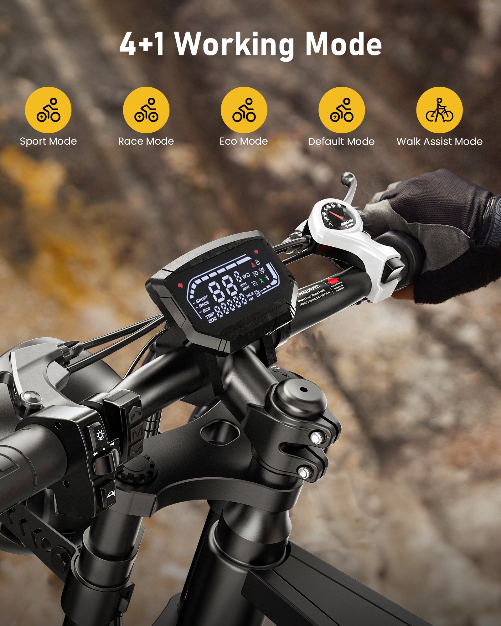isinwheel R6 Retro Electric Bike  With Battery
