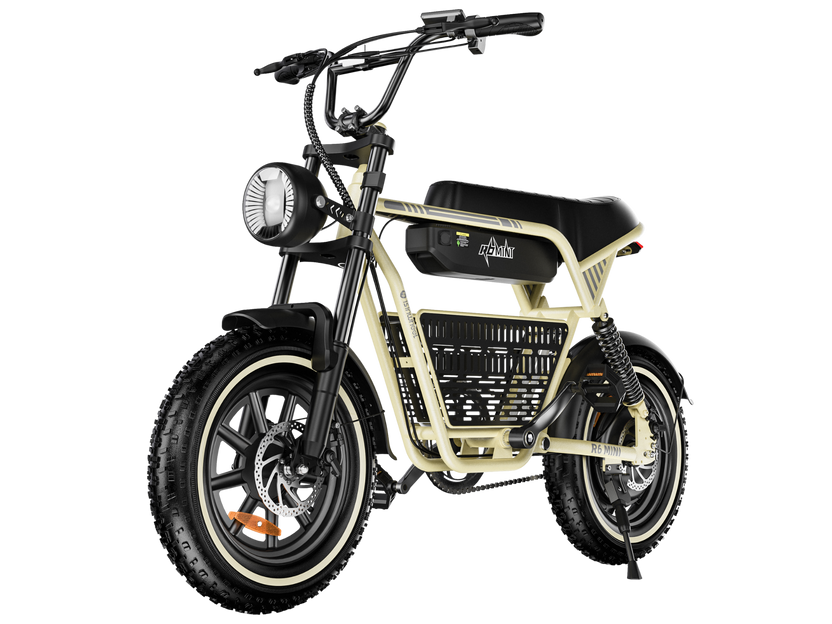 Vélo électrique rétro isinwheel R6