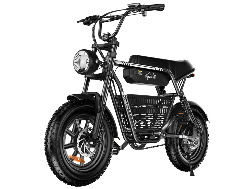 Vélo électrique rétro isinwheel R6