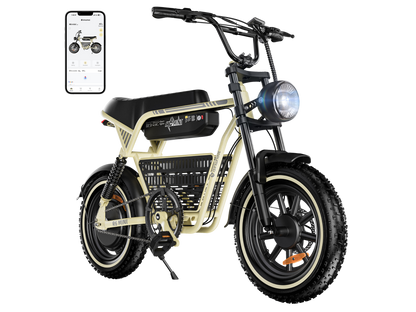 isinwheel R6 Mini Ebike