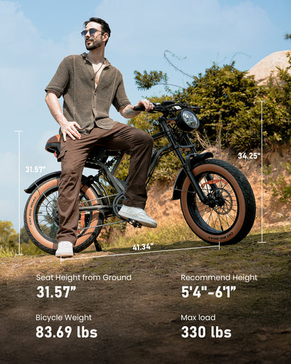 isinwheel R6 Retro Electric Bike  With Battery