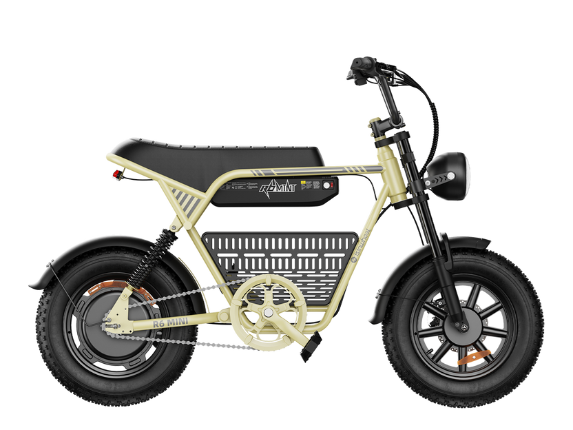 Vélo électrique rétro isinwheel R6