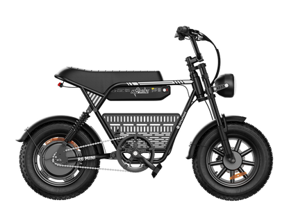 isinwheel R6 Mini Ebike