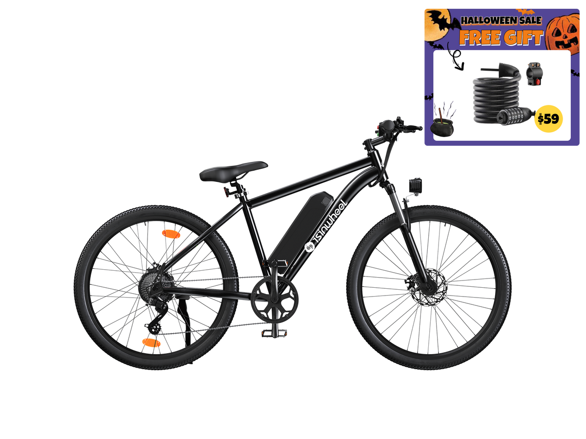 isinwheel Upgrades M10S 750W Electric Commuter Bike