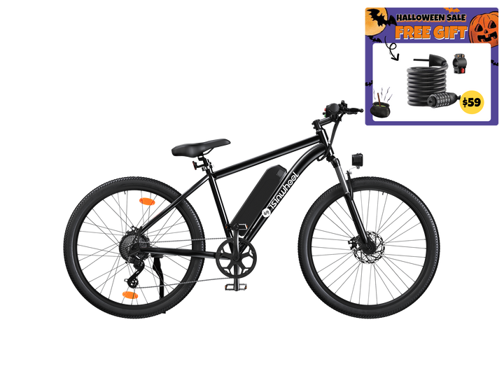 M10s Electric Bike