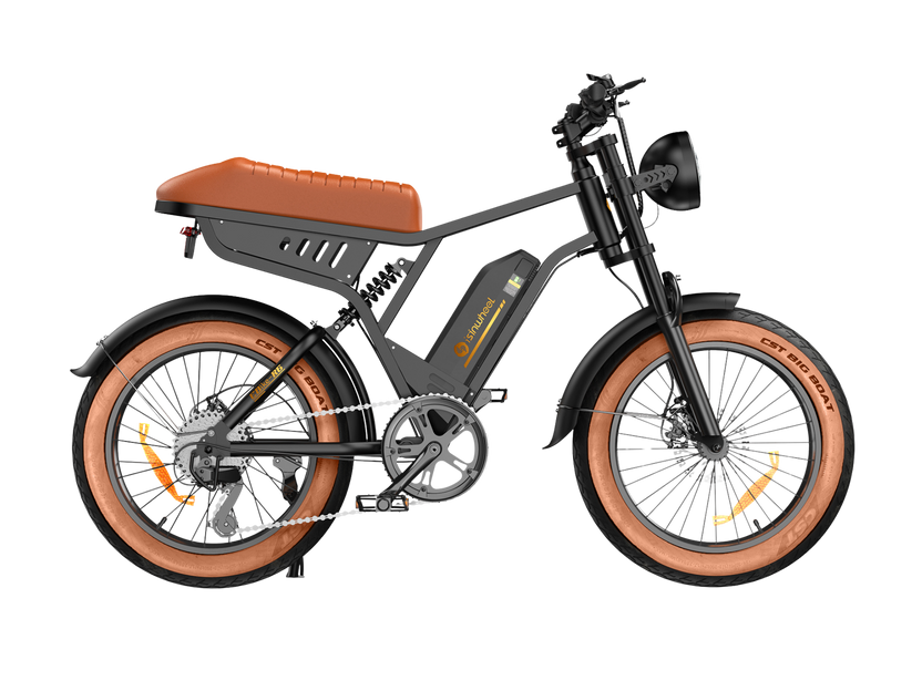 Vélo électrique rétro isinwheel R6