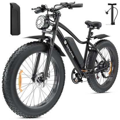 isinwheel M10Plus Electric Bike With Battery