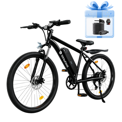isinwheel M10s 750W Electric Commuter Bike