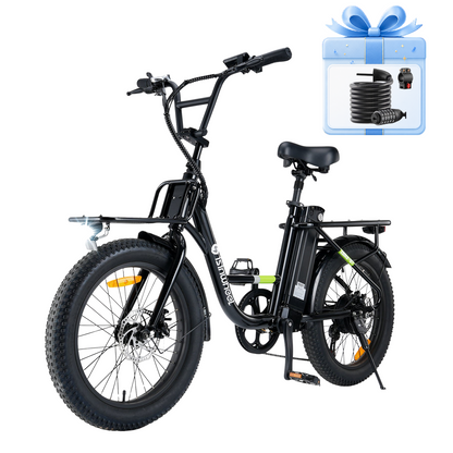 isinwheel U7 1000W Cargo Bike