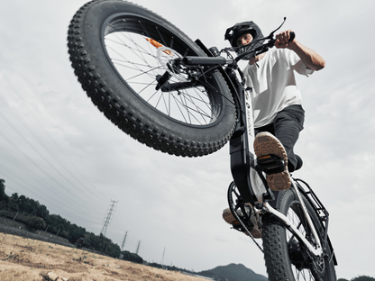 isinwheel U8 Ultra Electric Bike for Adults