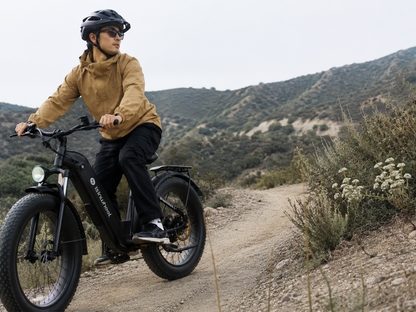isinwheel U8 Ultra Electric Bike for Adults