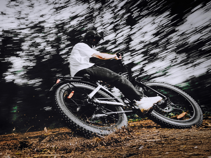 isinwheel U8 Ultra Electric Bike for Adults