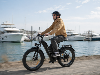 isinwheel U8 Ultra Electric Bike for Adults